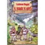 PE DRUMURI DE MUNTE