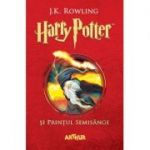 HARRY POTTER SI PRINTUL SEMISANGE 6