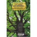 STEJARUL DN BORZESTI
