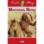 MUSTANGUL NEGRU