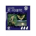 ANIMALE DE NOAPTE