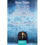 ELIAS SI SPIOANA CARTURARILOR II. O TORTA IN NOAPTE