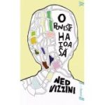 O POVESTE HAIOASA. Paperback