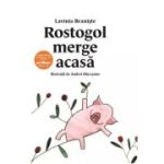 ROSTOGOL MERGE ACASA