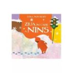 ZIUA IN CARE A NINS