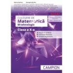 CULEGERE DE MATEMATICA. PROFIL M TEHNOLOGIC. CLASA A X-A