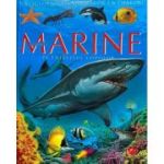 ANIMALE MARINE. PE INTELESUL COPIILOR