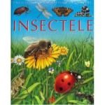 INSECTELE. PE INTELESUL COPIILOR