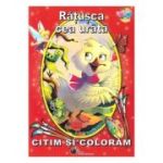 Rățușca cea urâtă. Citim și colorăm