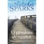 O PLIMBARE DE NEUITAT