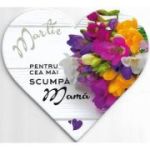 Pentru cea mai scumpa mama-magnet