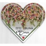 Pentru cea mai buna sora din lume-magnet