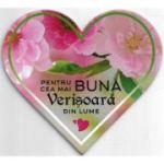 Pentru cea mai buna verisoara din lume-magnet