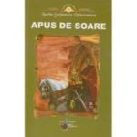 APUS DE SOARE