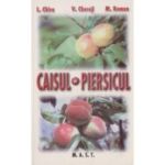 CAISUL SI PIERSICUL