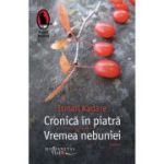 CRONICA IN PIATRA. VREMEA NEBUNIEI