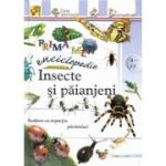 INSECTE SI PAIANJENI. Prima mea enciclopedie