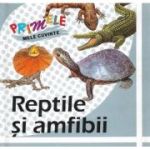 REPTILE SI AMFIBII. Primele mele cuvinte