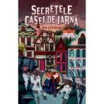 SECRETELE CASEI DE IARNA
