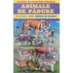 Animale de pădure. Complet de materiale didactice. Placardă. Loto. Desene de colorat