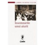 INSEMNARILE UNUI AIURIT