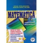 MATEMATICA. Algebra superioara. Analiza matematica. Sinteze de teorie. Exercitii si probleme. Clasa a XI-a