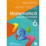 MATEMATICA. Exercitii si probleme. Clasa a VI-a