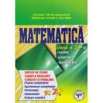 Matematică. Algebră. Geometrie. Trigonometrie. Sinteze de teorie. Exercitii si probleme. Clasa a IX-a