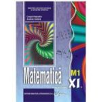 MATEMATICĂ M1. Manual. Clasa a XI-a