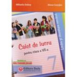 LIMBA ȘI LITERATURA ROMÂNĂ. Caiet de lucru. Clasa a VII-a