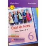 LIMBA ȘI LITERATURA ROMÂNĂ. Caiet de lucru. Clasa a VI-a