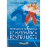 Matematică. Memorator și îndrumar. Liceu