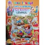 Ce este? Lemnul. Ursul înțelept. Carte cu abțibilduri