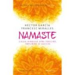 NAMASTE. Calea hindusă spre fericire, împlinire și succes
