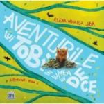 Aventurile lui Tobi în lumea lui De ce?
