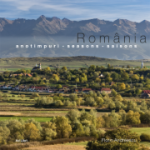 România-Anotimpuri. Album
