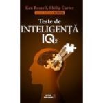 Teste de inteligență IQ 2