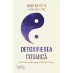 Detoxifierea cosmică