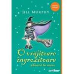 O vrăjitoare îngrozitoare zboară la mare. Paperback