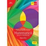 Matematică pentru excelență. Clasa a VI-a