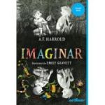 Imaginar. Paperback