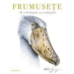 Frumusețe. O celebrare a evoluției