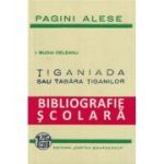 Țiganiada sau tabăra țiganilor