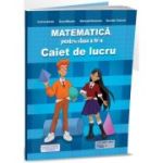 Matematică. Caiet de lucru. Clasa a IV-a