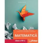 Matematică. Manual. Clasa a VII-a