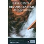 Inteligența și dinamica energiei