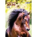 Calendar de perete 2026 cu 12 file. Cai