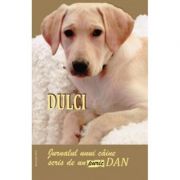 DULCI. JURNALUL UNUI CAINE