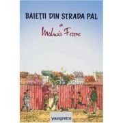 BAIETII DIN STRADA PAL