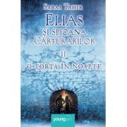 ELIAS SI SPIOANA CARTURARILOR II. O TORTA IN NOAPTE